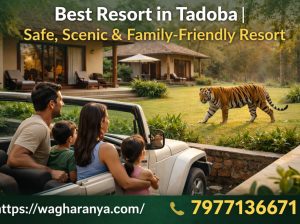 Best***Resort***in***Tadoba | Safe, Scenic & Family-Friendly***Resort