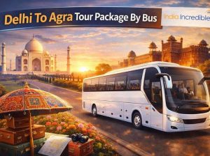 Most***Chosen***Delhi***To***Agra***Tour***Package***By***Bus