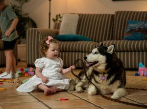 The***Role***of***Non-profit***Foster***Foundations***in***Child***Protection