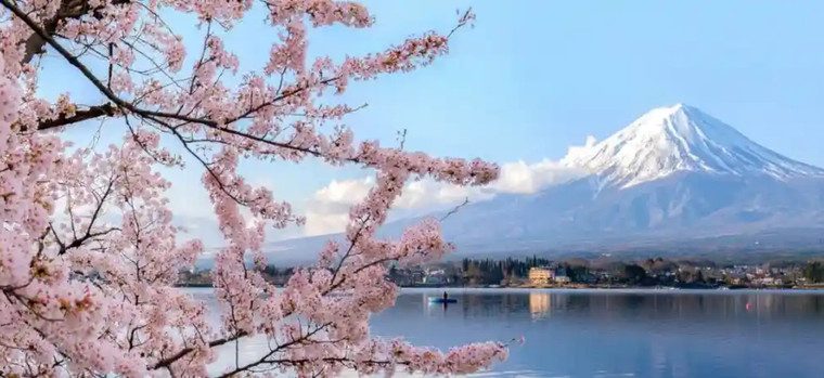 Cherry***Blossom***Season: When & Where***to***Travel***for***the***Perfect***View
