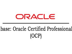 Oracle***OCP***Online***Certification***Training***Course