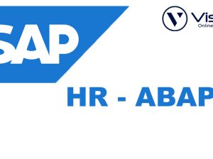 SAP***ABAP***HR***Online***Training***Real-time***support***from***India
