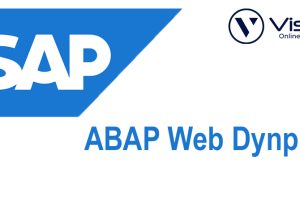 SAP***ABAP***Web***DynPro***Online***Training***Real-time***support