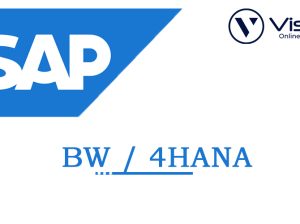 SAP***BW4***Online***Training***Institute***From***Hyderabad***India