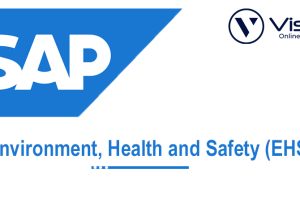 SAP***EHS***Course***Online***Training***Classes***from***India