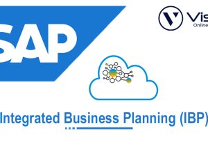 SAP***IBP***Online***Training Course***Free***with***Certificate