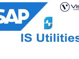 SAP***IS***Utilities***Course***Online***Training***Classes***from***India