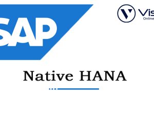 SAP***Native***HANA***Online***Coaching***Classes***In***India, Hyderabad