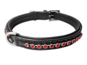 Why***a***Leather*** Collar***Is***the***Smartest***Choice***for***Your***Pet