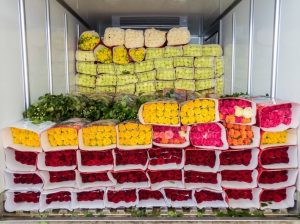 Refrigerated***Containers***Rental***in***Iraq | Trane***Rental***MEA