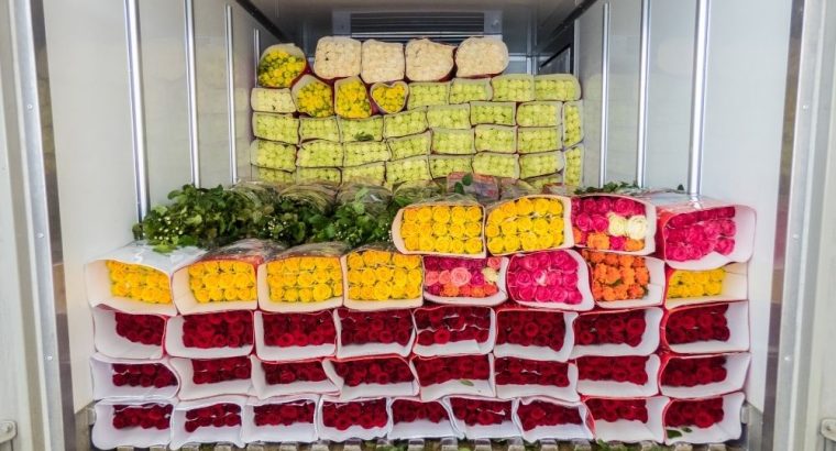 Refrigerated***Containers***Rental***in***Iraq | Trane***Rental***MEA