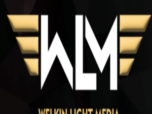 Best***Digital***Marketing***Agency***in***Bangalore – WelkinLightMedia
