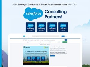 Top***Salesforce***Consulting***Company***In***India| Expert***Salesforce***Salesforce***Consulting***Services***by***Tech