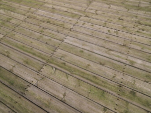 Elevate***Your***Space***with***Appalachian***Flooring | AA***Floors & More