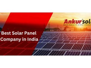 Best***Solar***PV***Module***Manufacturers – Ankur***Solar