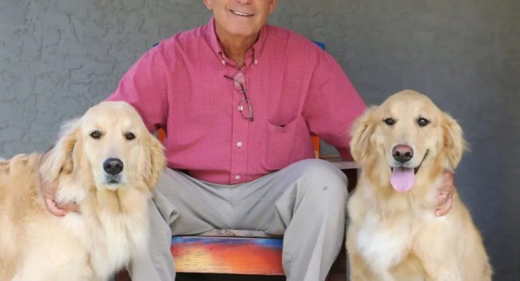 Boulevard***Animal***Hospital