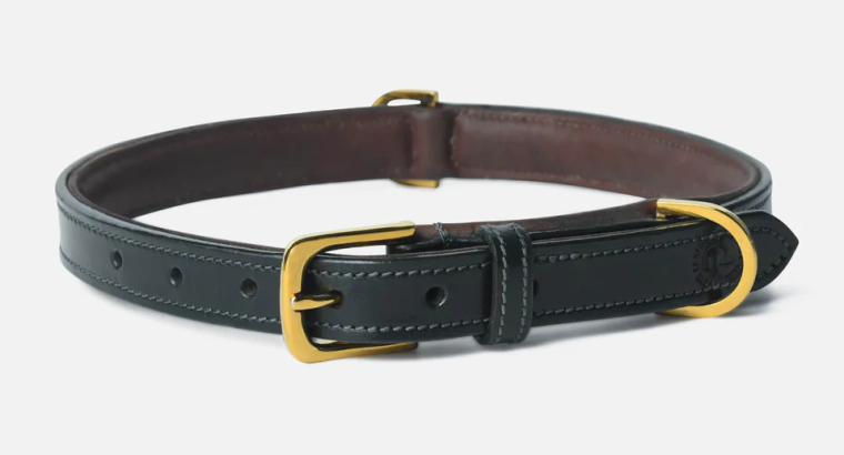 Why***High-Quality*** Collars***Are***Essential***for***Your***Pet’s***Safety