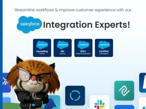 Hire***a***trusted***Salesforce***integration***partner***for***your***buisness