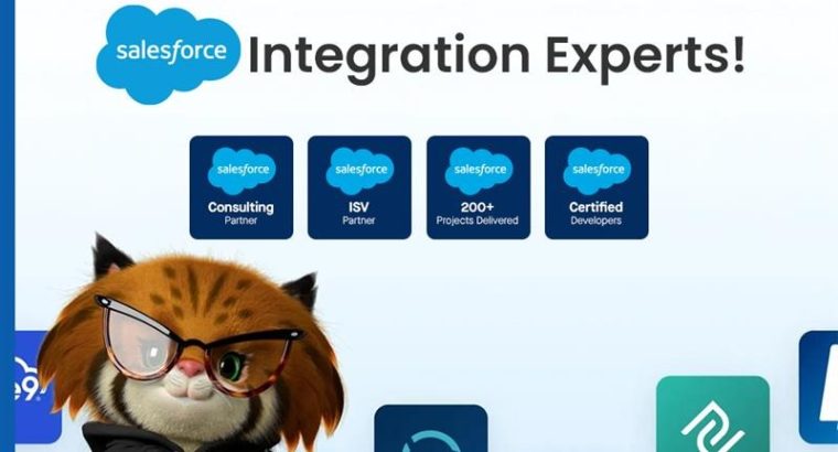 Hire***a***trusted***Salesforce***integration***partner***for***your***buisness