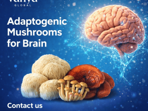 Adaptogenic***Mushrooms***for***Brain – Natural***Cognitive***Enhancement