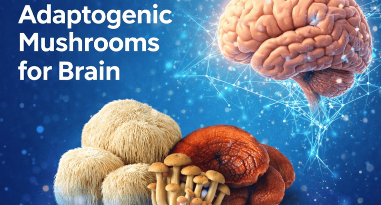 Adaptogenic***Mushrooms***for***Brain – Natural***Cognitive***Enhancement