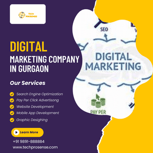Professional***Digital***Marketing***Company***in***Gurgaon - TechProsense