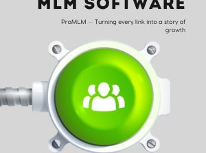 Direct***Selling***Software***Development