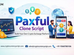 Paxful***Clone***Script***for***Secure***P2P***Crypto***Trading***in***the***USA