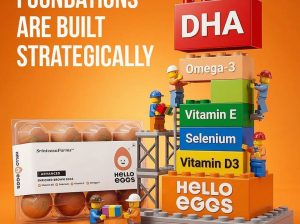 Vitamin***D3***Brown***Eggs: Your***Daily***Sunshine***in***Every***Bite